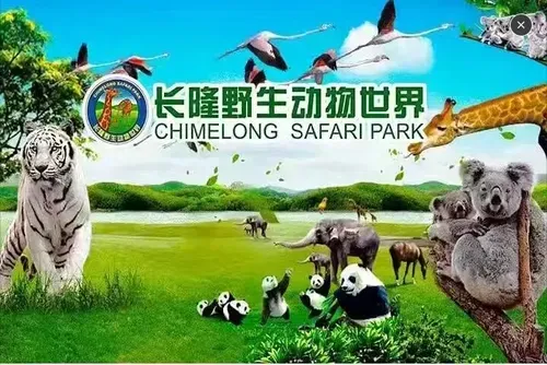 住長隆享輕松雙長隆純玩五日游